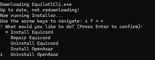 CLI Example